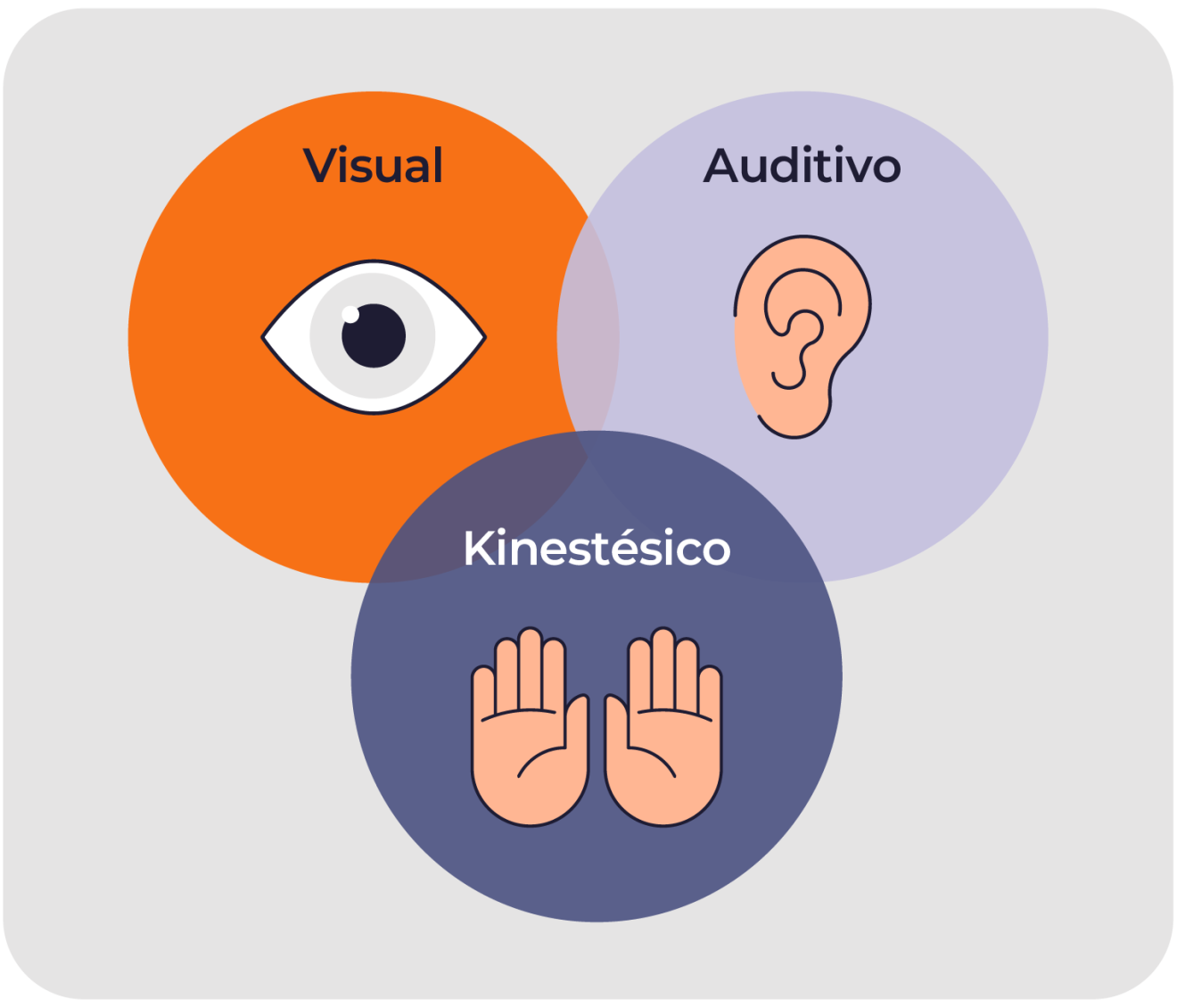 Estilos de aprendizaje y sus métodos Scala Learning