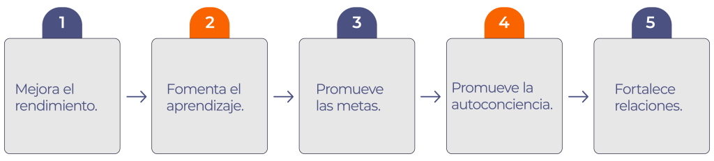 ¿Por qué es importante la retroalimentación?