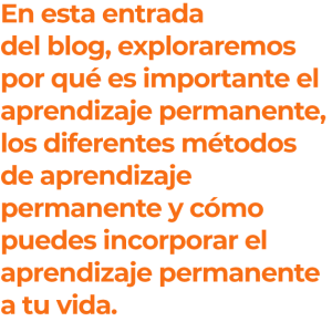 Recurso 13